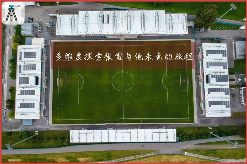 多维度探索张雪与他未竟的旅程